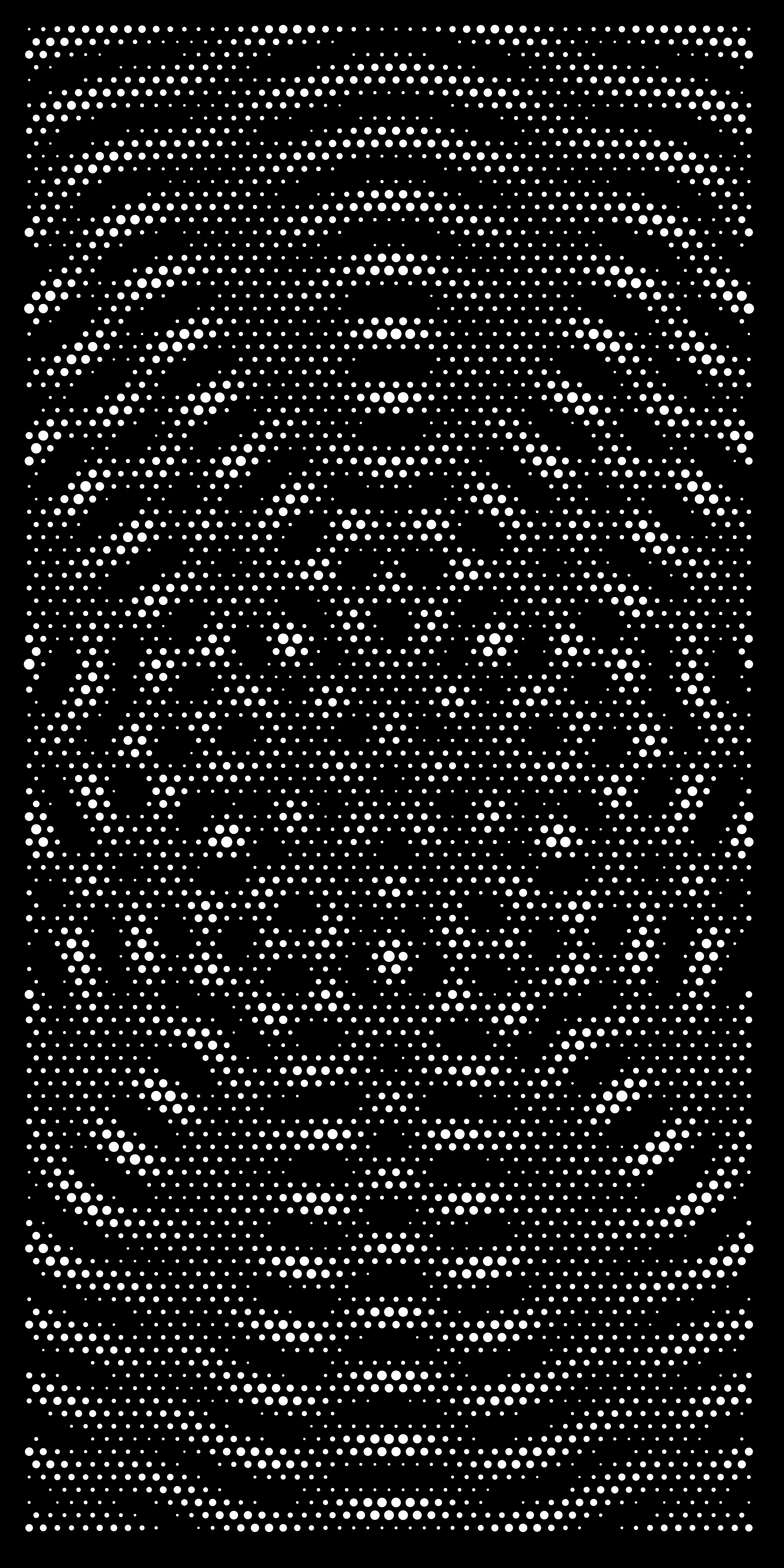 Halftone Wave Panel 21 — Fiber Laser DXF for Storefront Centrepiece