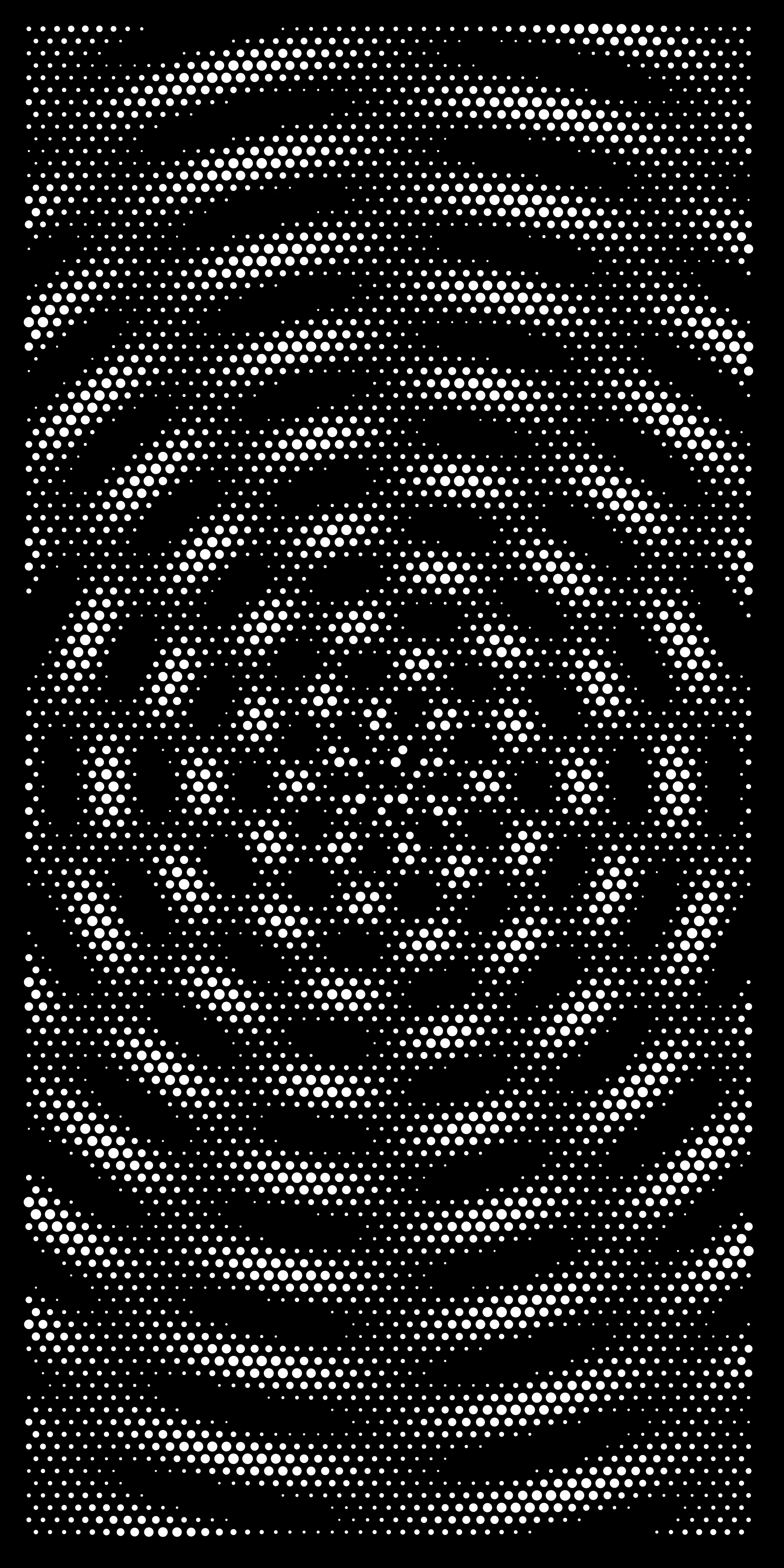Premium Architectural Design 26 — Fiber Laser DXF for Premium Privacy Screen — original design file